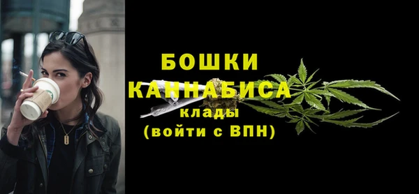 прущий лед Белокуриха