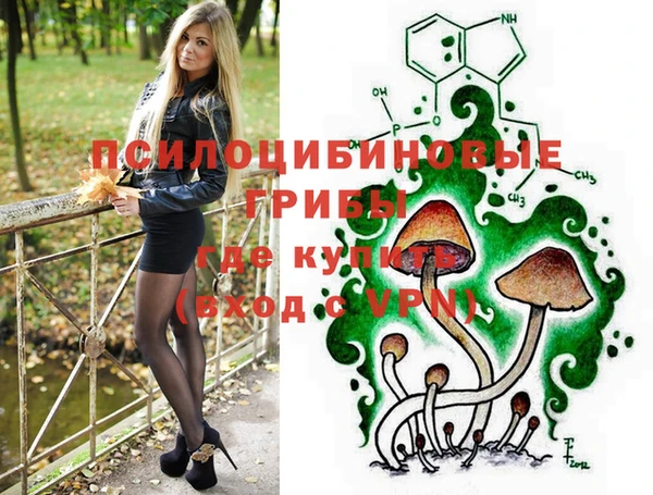 прущий лед Белокуриха
