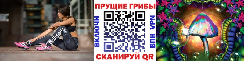 mega как войти Томари Галлюциногенные грибы Psilocybine cubensis